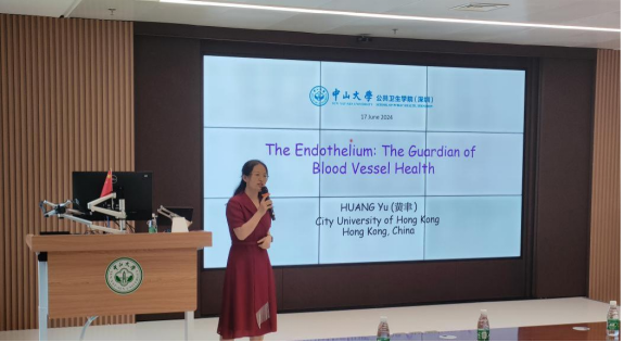 image-20240623233405-1