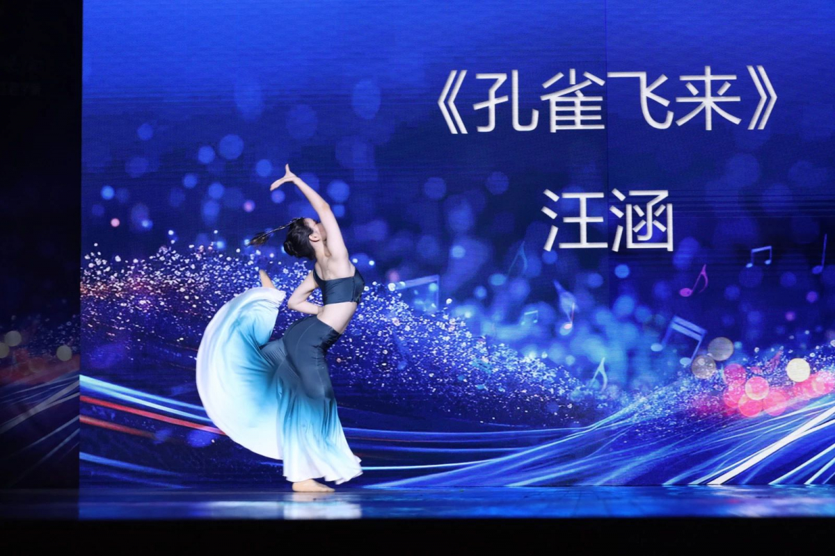 image-20240624225300-24