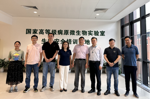 image-20240625194043-1