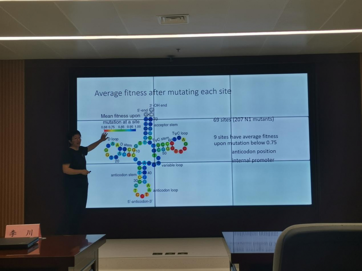 image-20240808111609-2