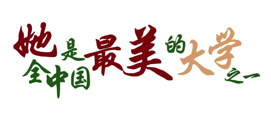 image-20241112142136-1