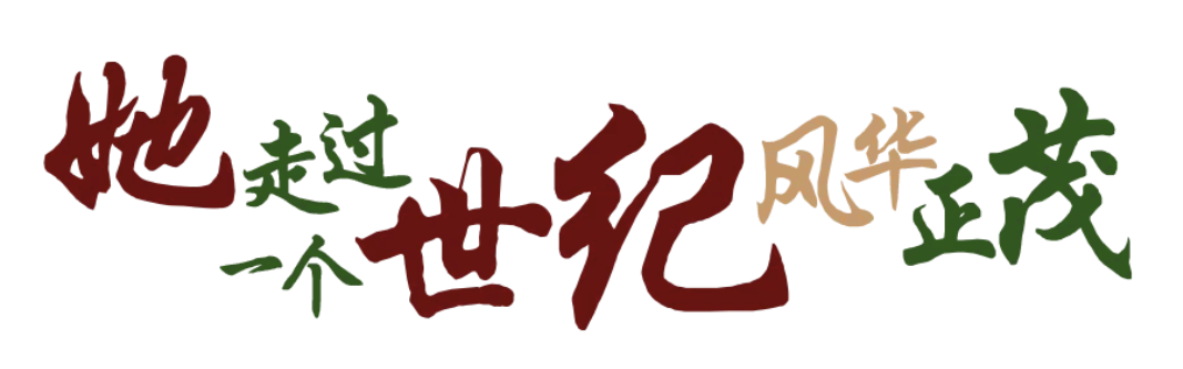 image-20241112150819-4