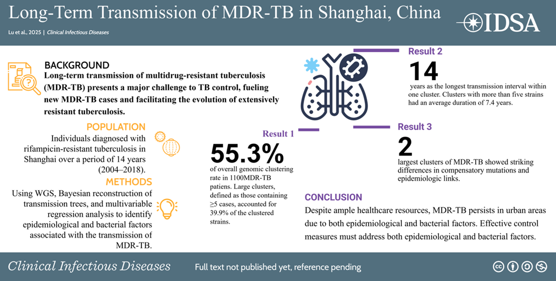 Graphical Abstract or Academic Research Poster